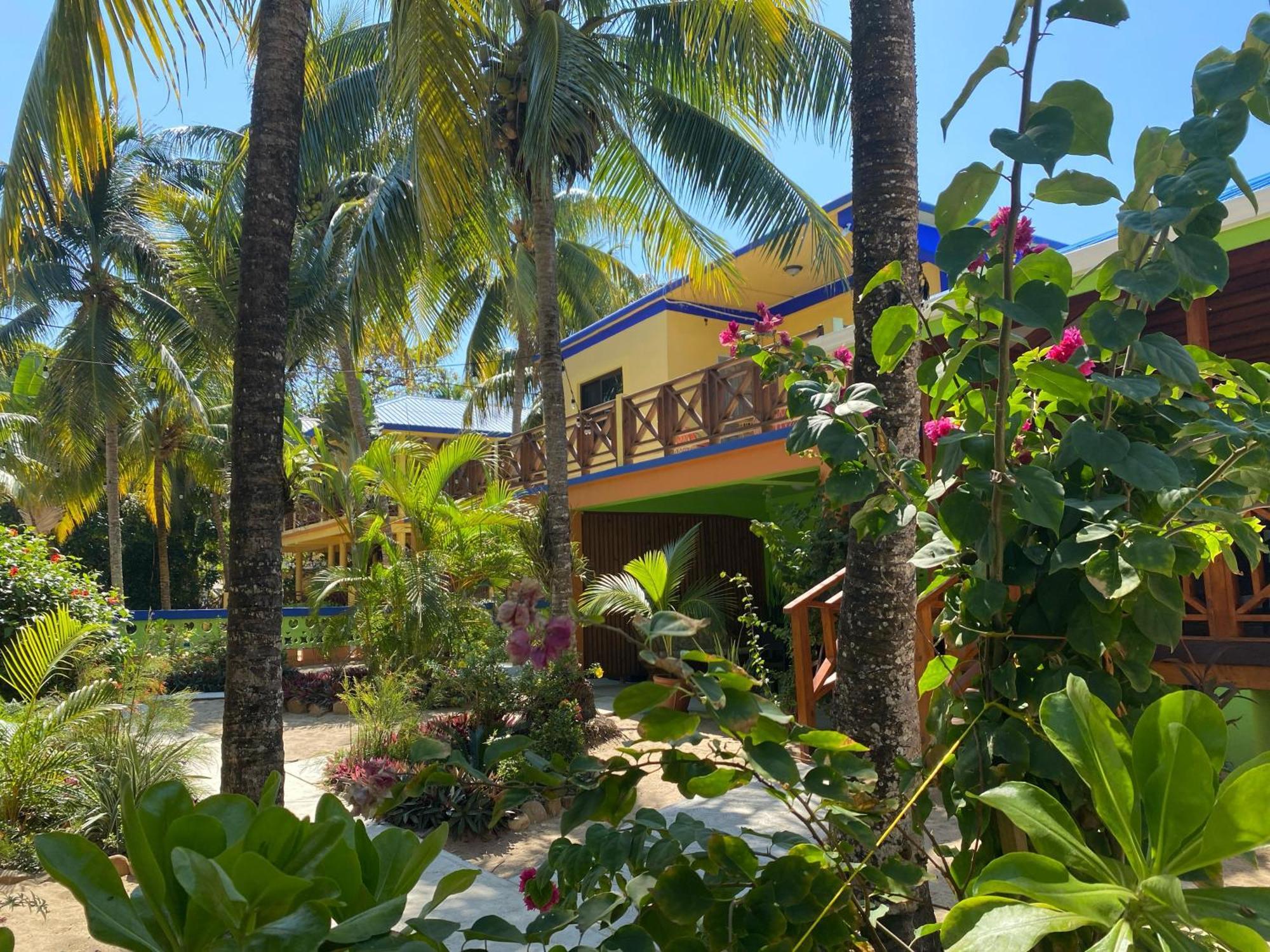 הופקינס Coconut Row Boutique Hotel מראה חיצוני תמונה
